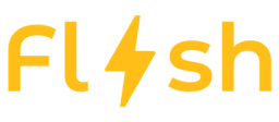Flash text logo